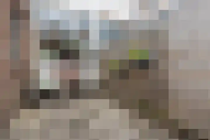 Leliestraat 24 Alphen aan den Rijn thumbnail 14
