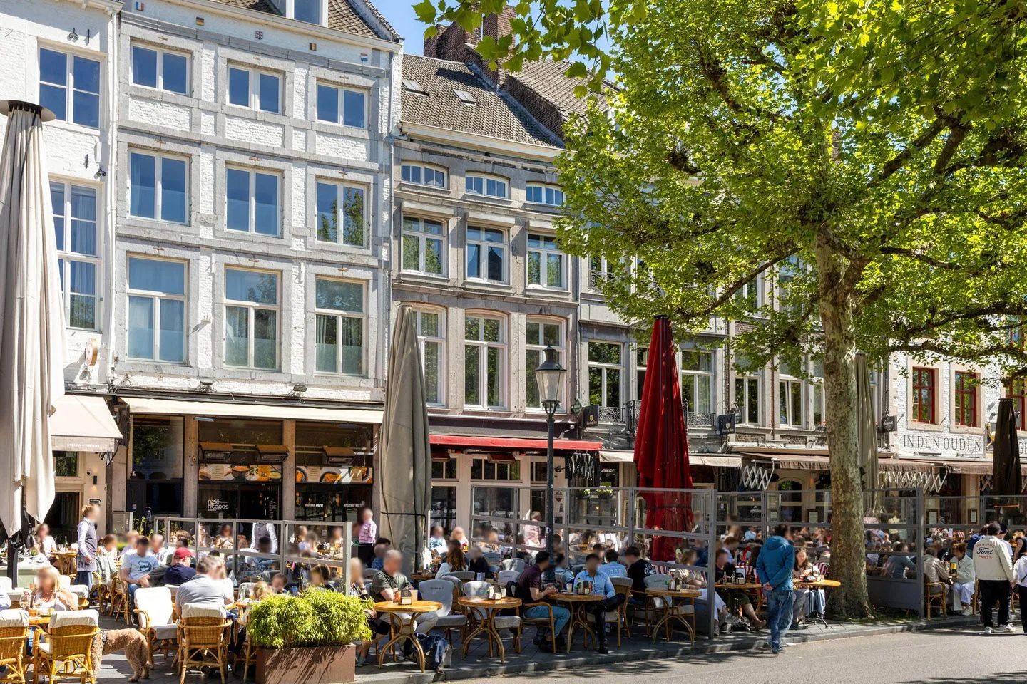Leliestraat 24 C 02 Maastricht foto 3