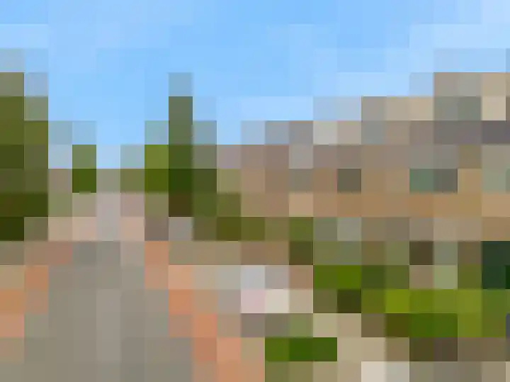 Leliestraat 24 Koog aan de Zaan thumbnail 33