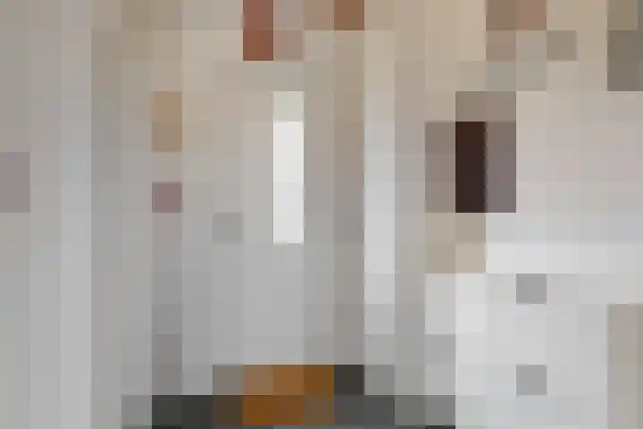 Leliestraat 24 Koog aan de Zaan thumbnail 5