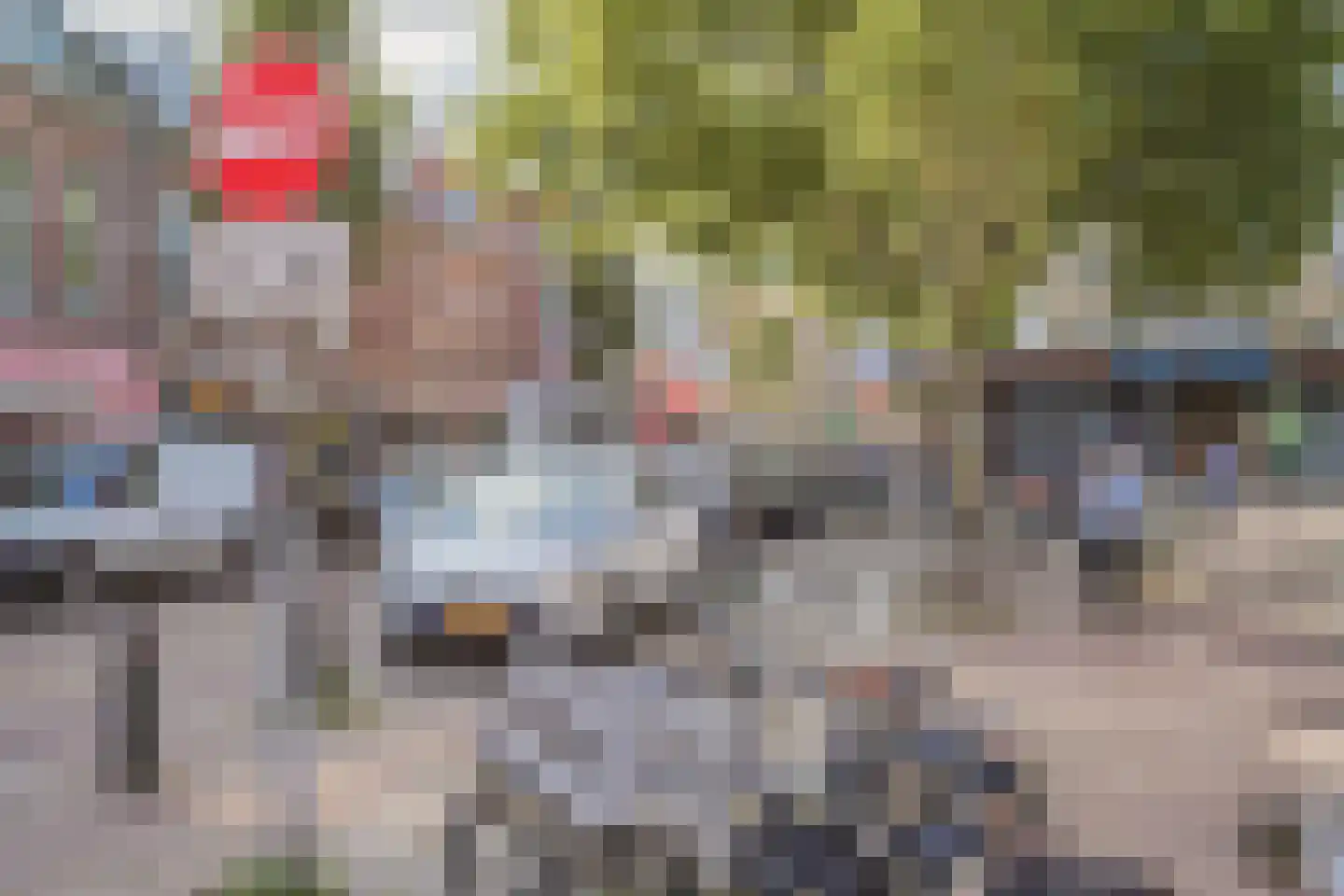 Leliestraat 24 Schiedam thumbnail 6