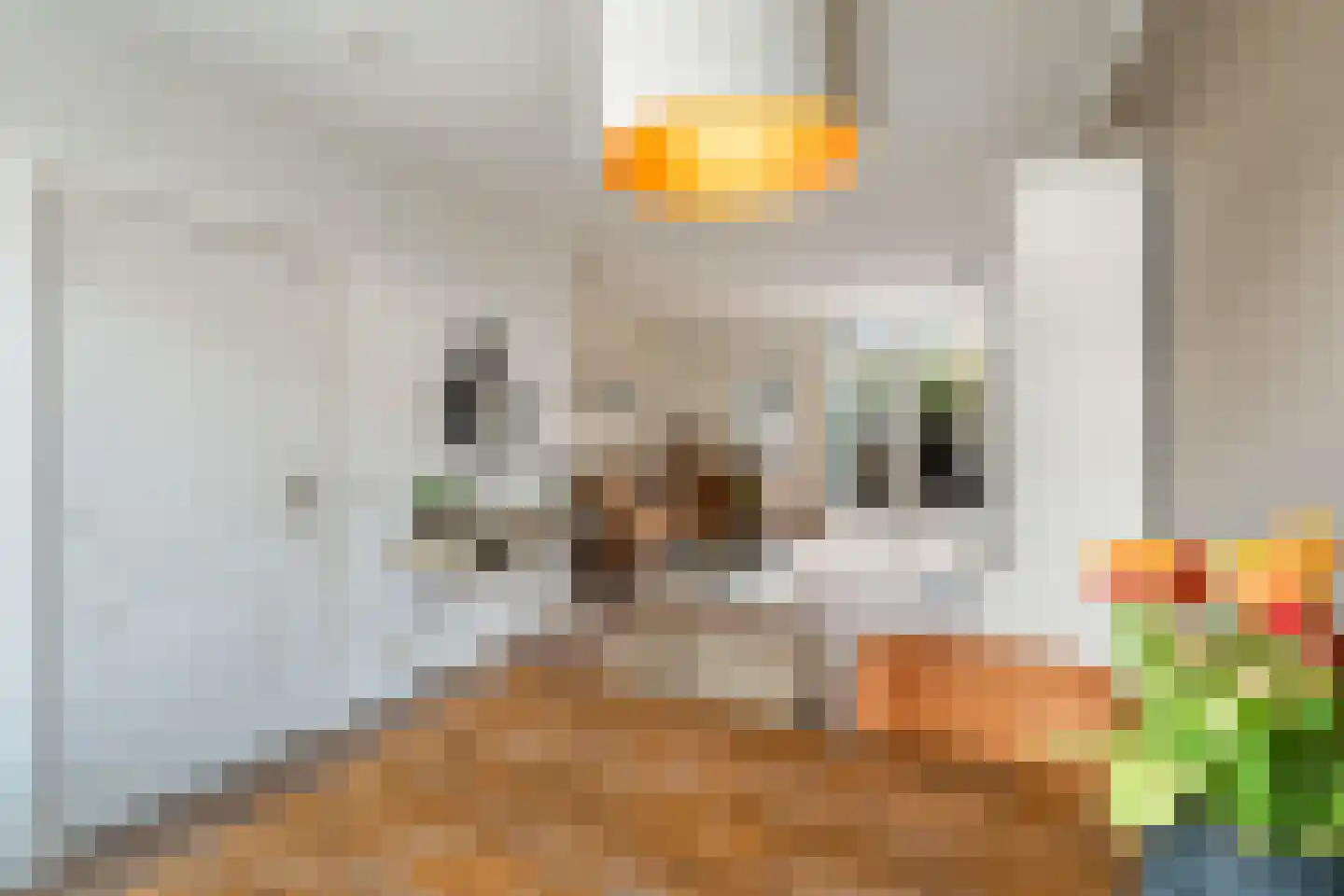 Leliestraat 26 Alphen aan den Rijn thumbnail 15