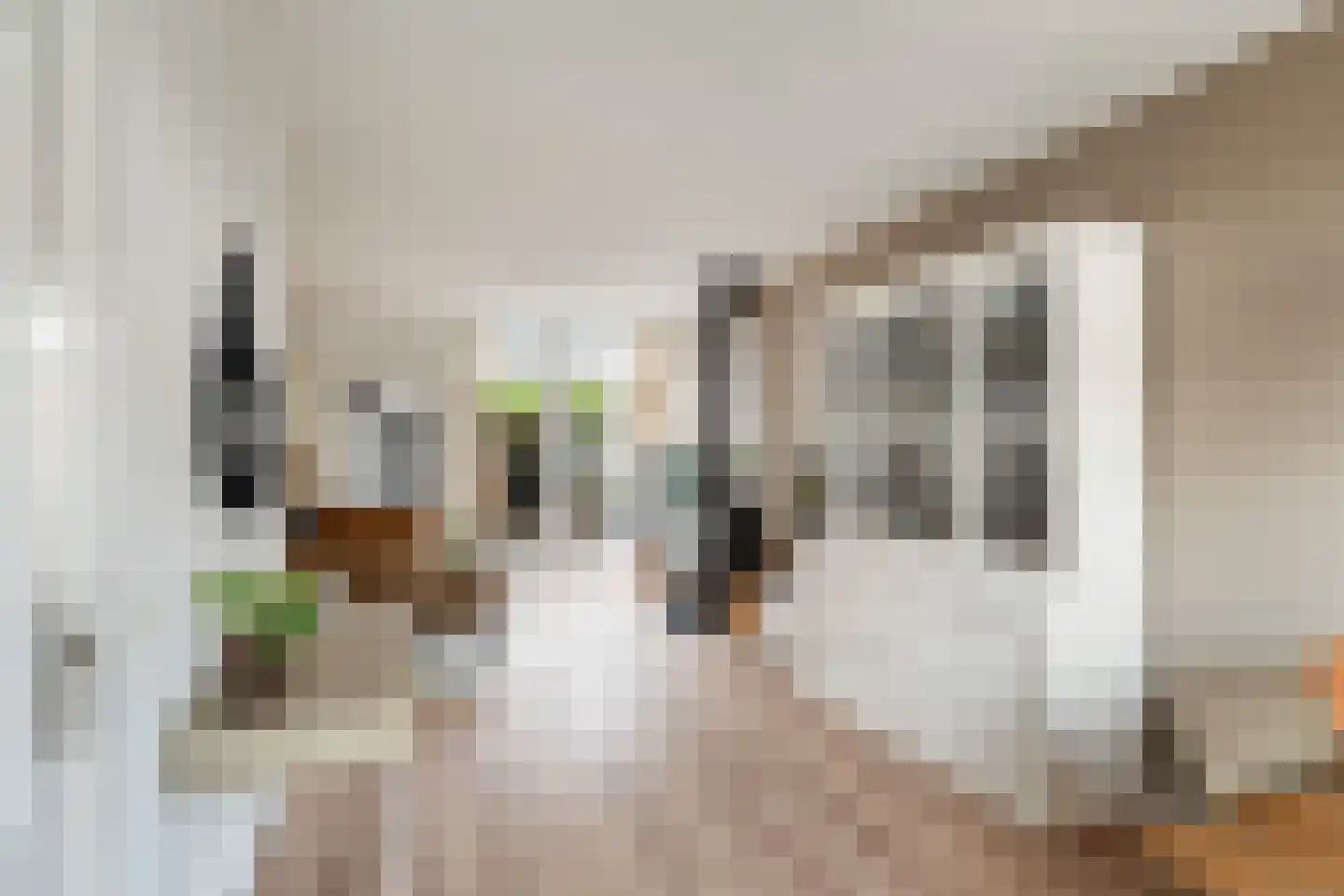 Leliestraat 26 Alphen aan den Rijn thumbnail 16
