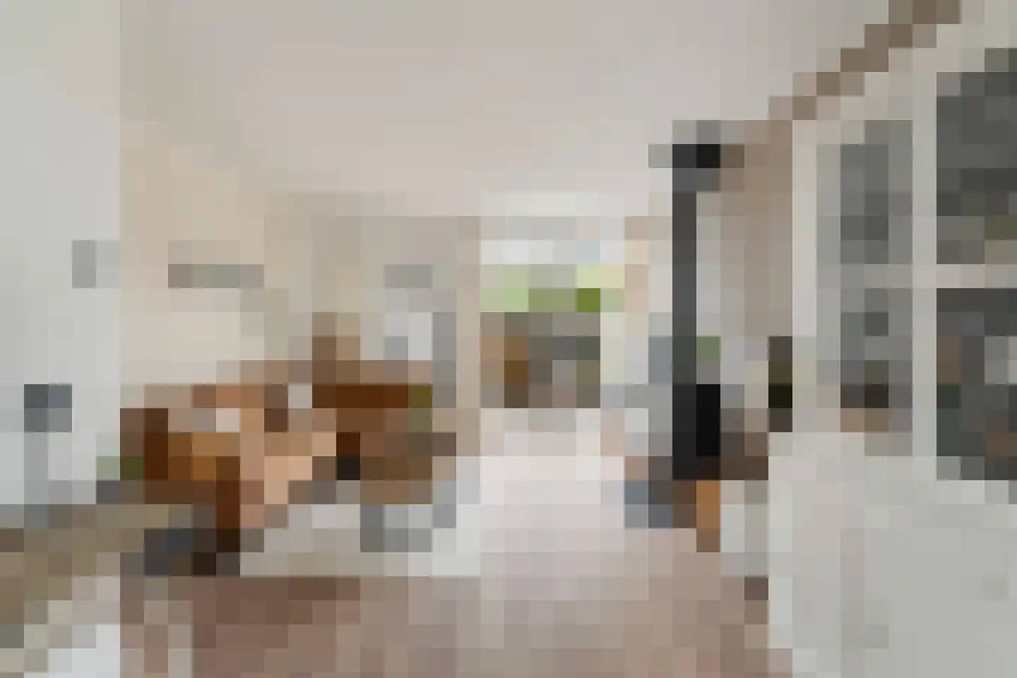 Leliestraat 26 Alphen aan den Rijn thumbnail 17