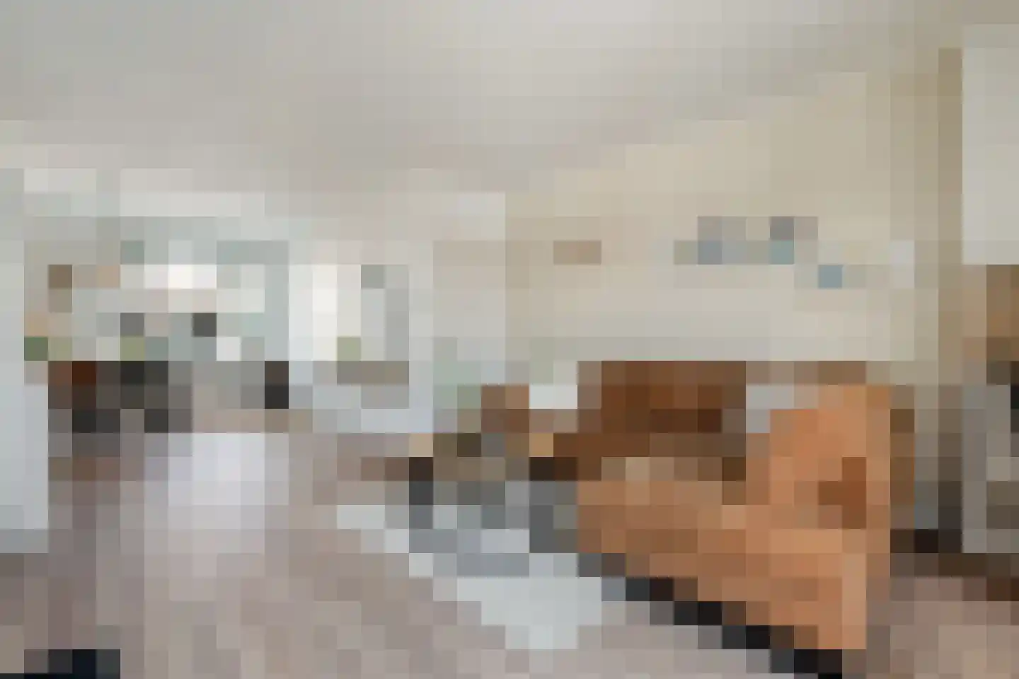Leliestraat 26 Alphen aan den Rijn thumbnail 19