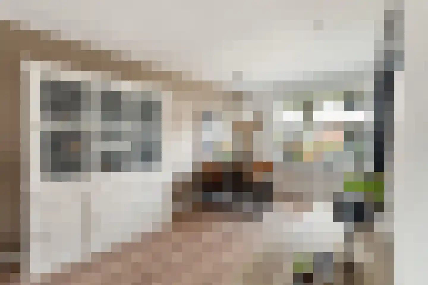 Leliestraat 26 Alphen aan den Rijn thumbnail 24