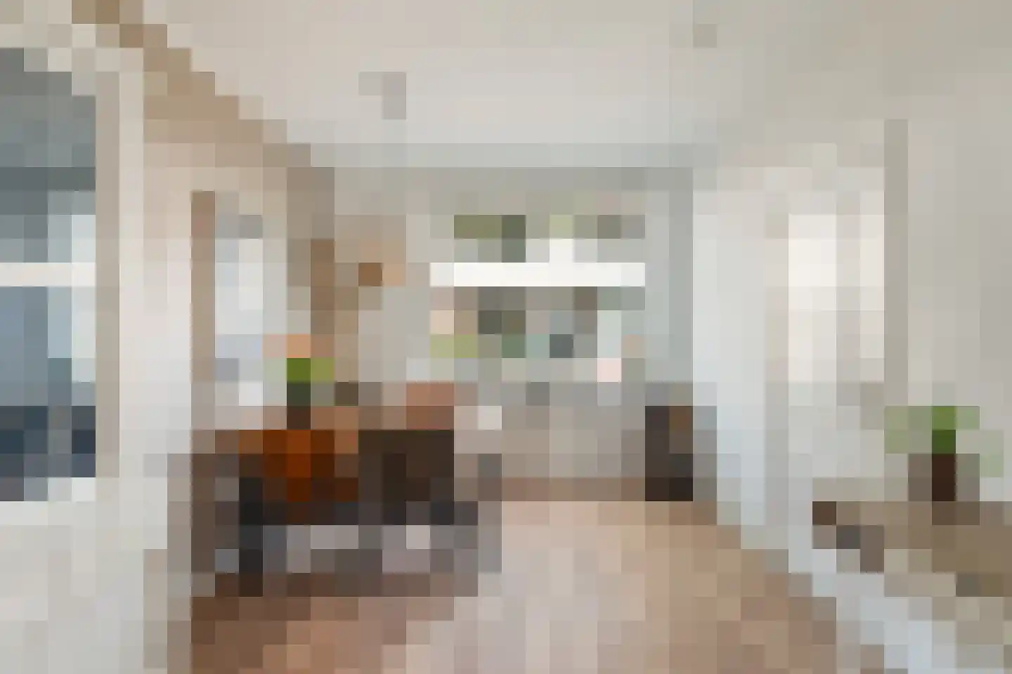 Leliestraat 26 Alphen aan den Rijn thumbnail 25