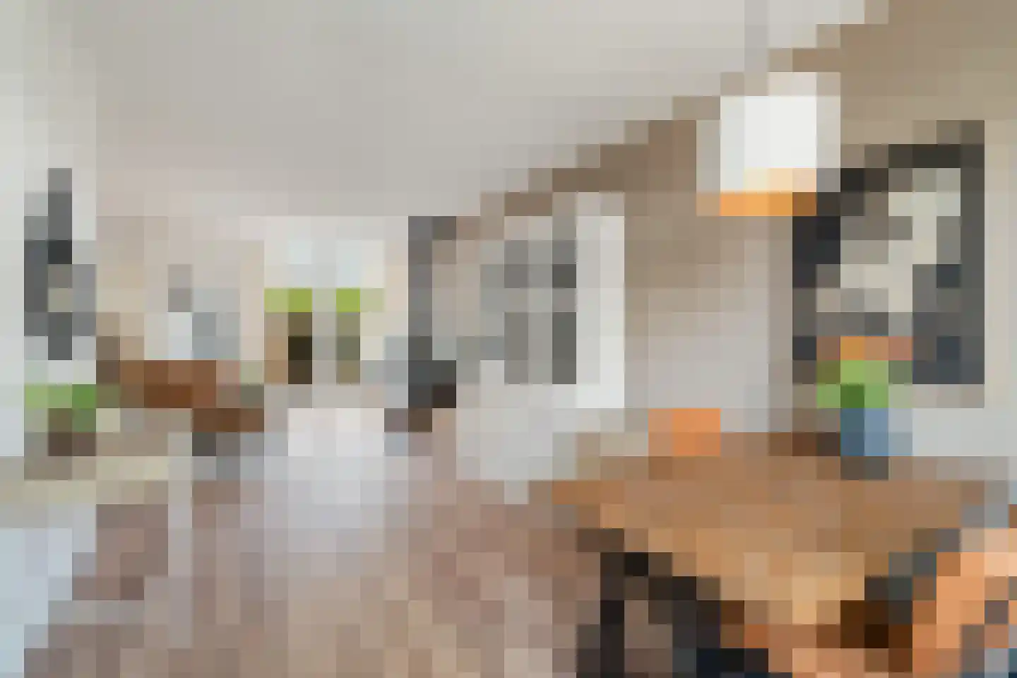Leliestraat 26 Alphen aan den Rijn thumbnail 27