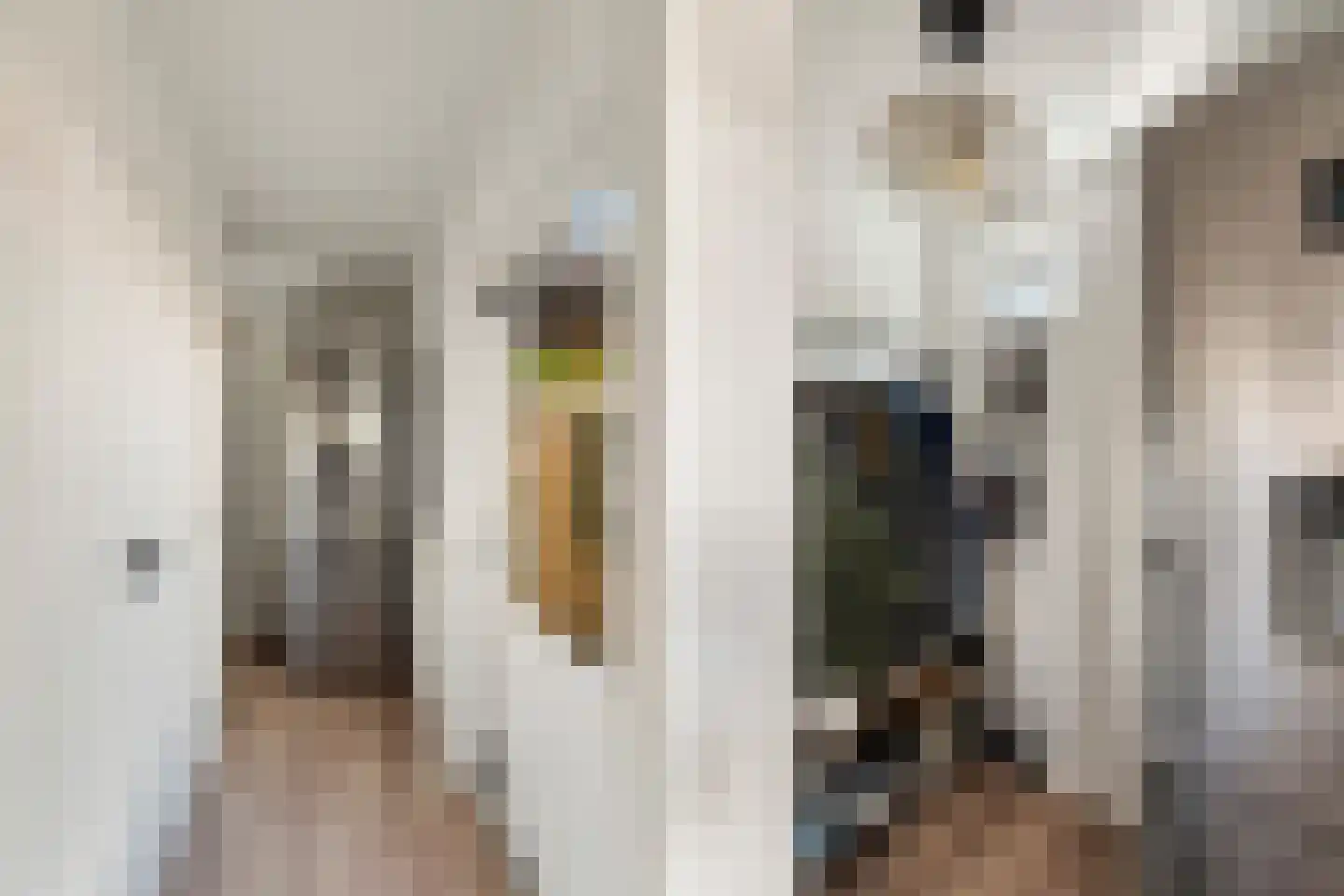 Leliestraat 26 Alphen aan den Rijn thumbnail 33