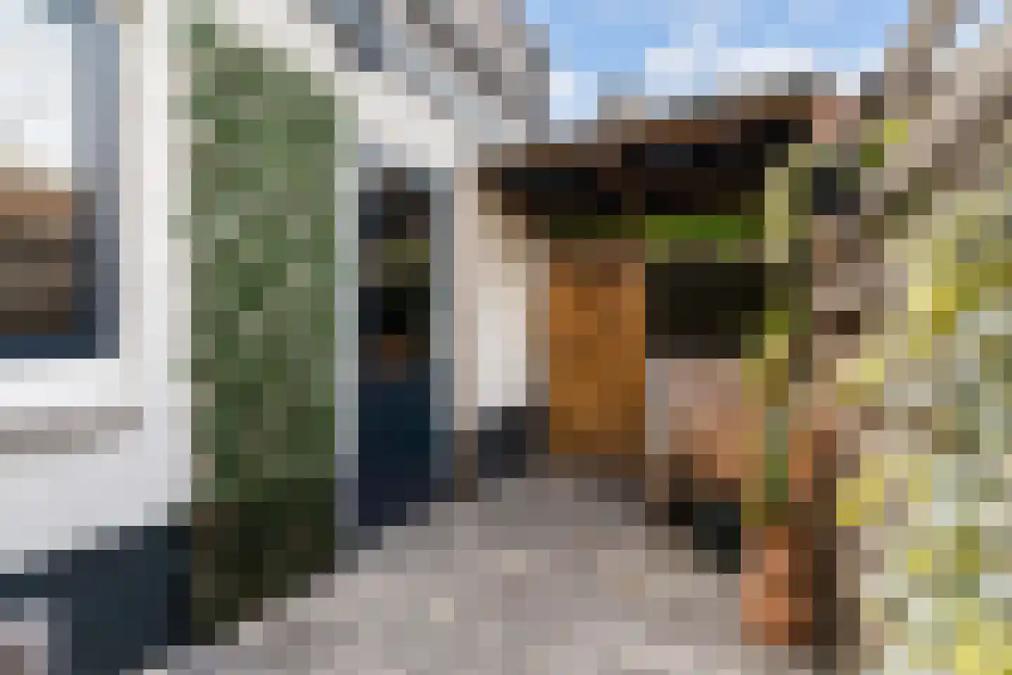 Leliestraat 26 Alphen aan den Rijn thumbnail 37