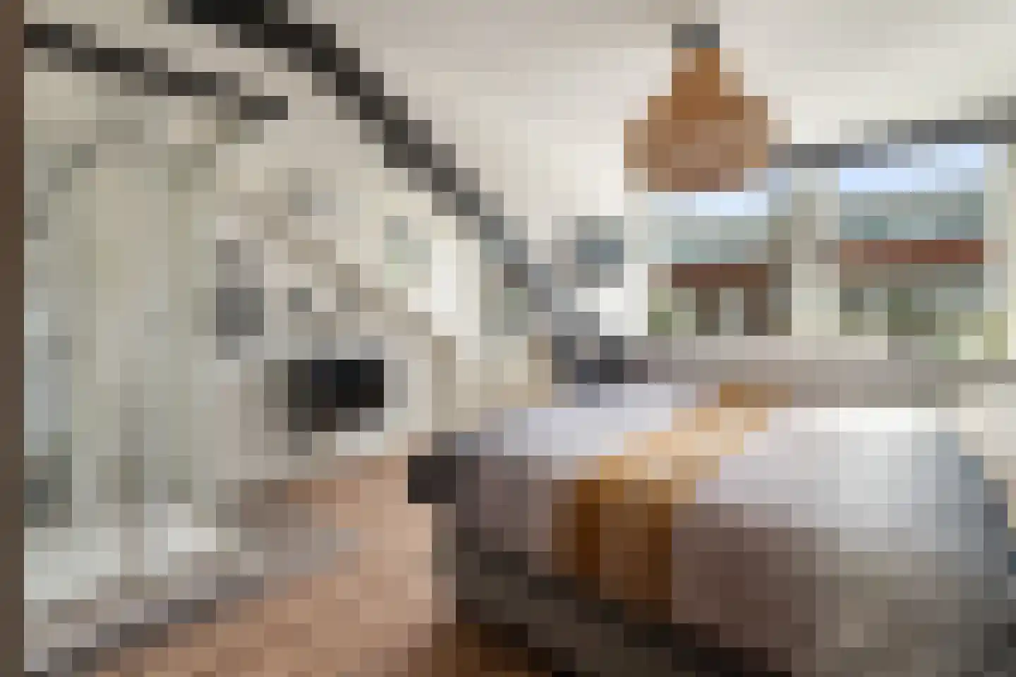 Leliestraat 26 Alphen aan den Rijn thumbnail 40