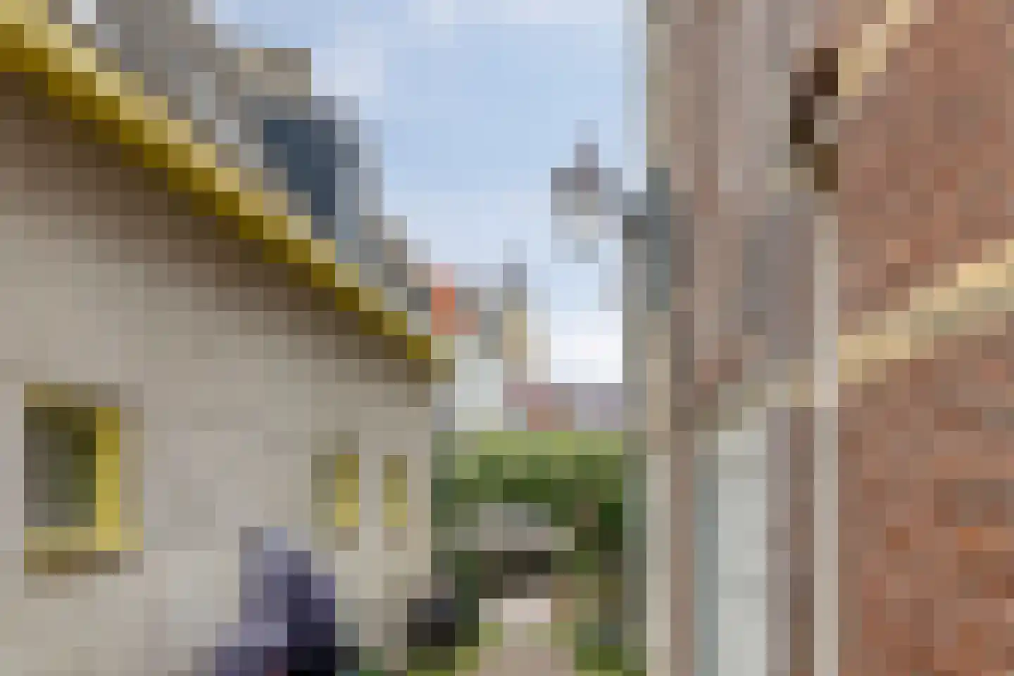 Leliestraat 26 Haarlem thumbnail 28