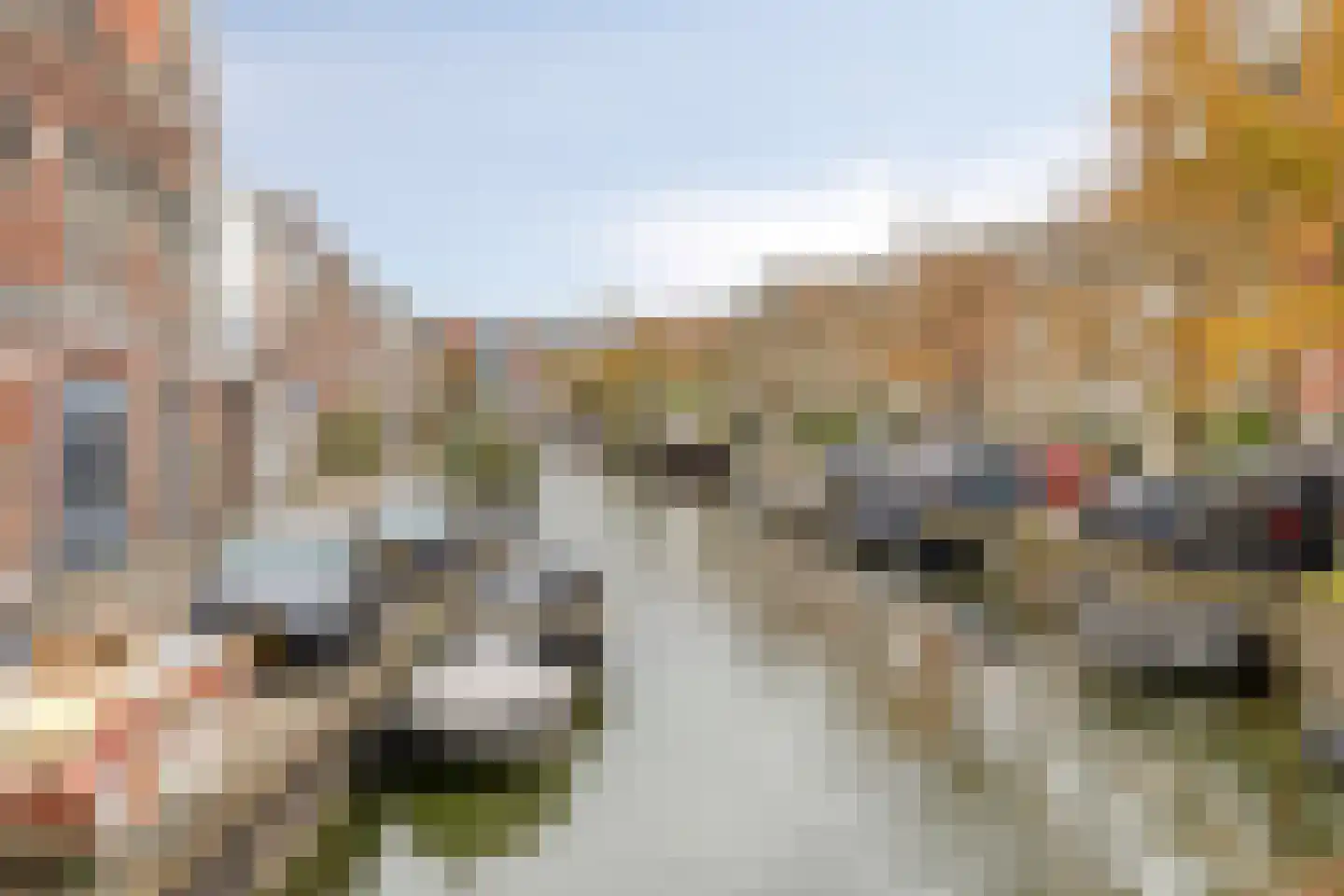 Leliestraat 26 Haarlem thumbnail 29