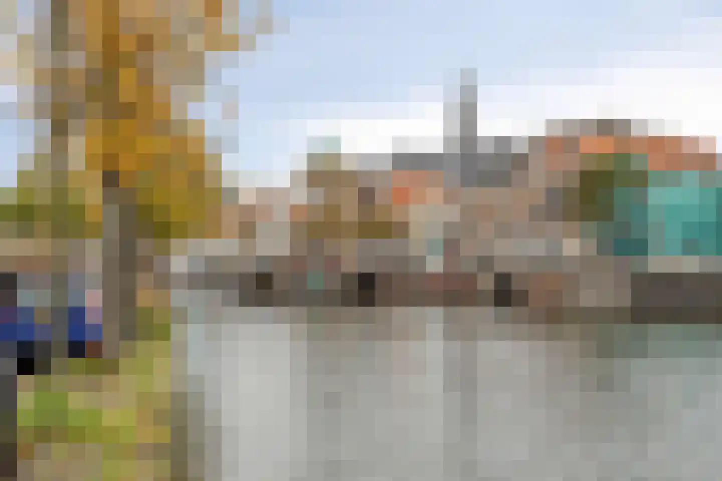 Leliestraat 26 Haarlem thumbnail 30
