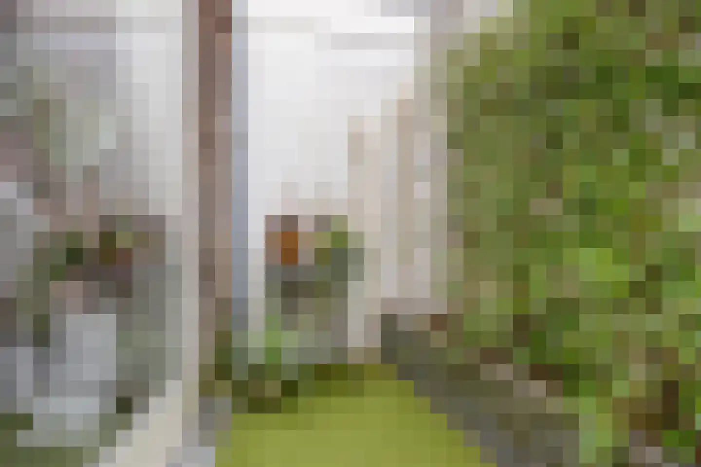 Leliestraat 26 Haarlem thumbnail 5