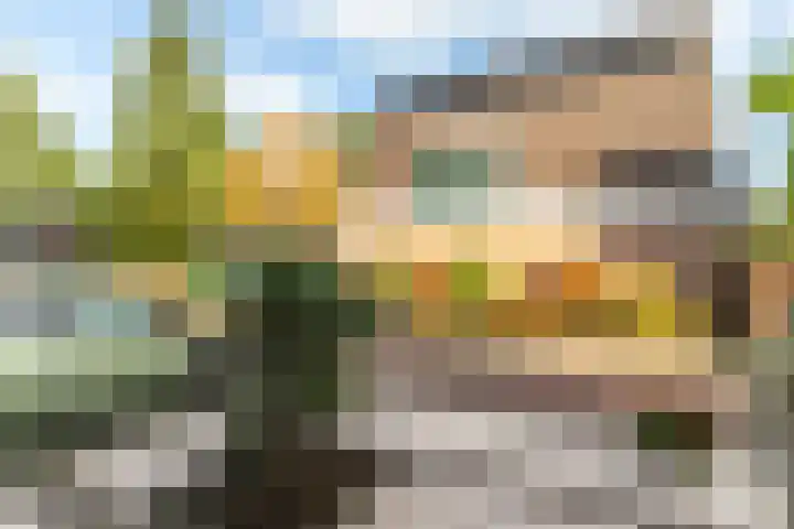 Leliestraat 26 's-Gravendeel thumbnail 32