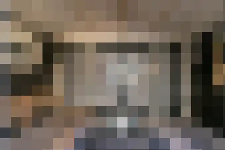 Leliestraat 26 's-Gravendeel thumbnail 33
