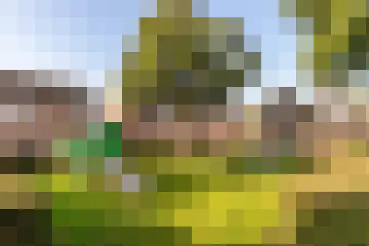 Leliestraat 26 's-Gravendeel thumbnail 5