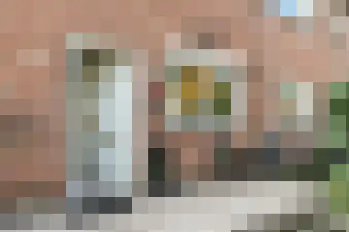 Leliestraat 26 's-Gravendeel thumbnail 6