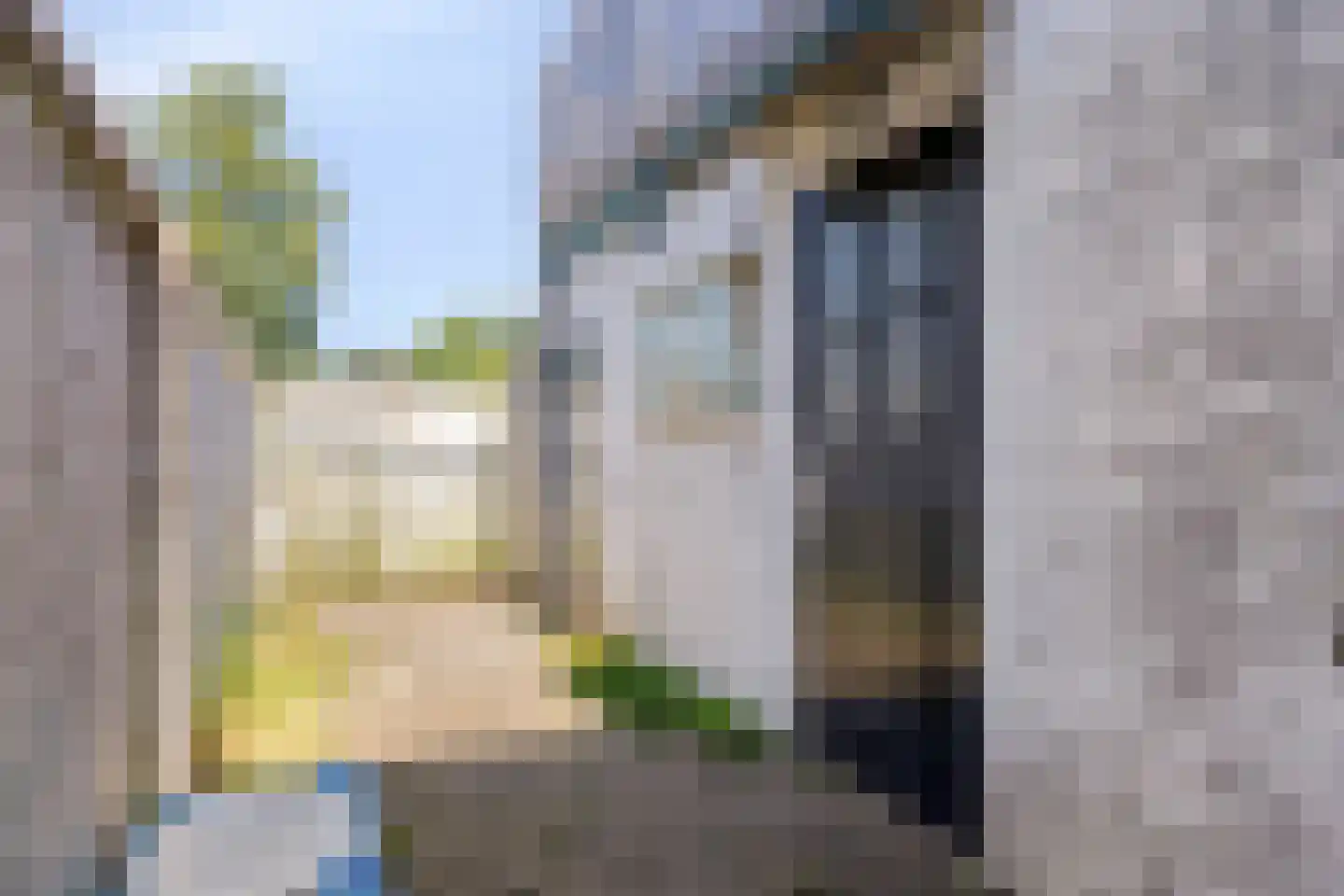 Leliestraat 27 Alphen aan den Rijn thumbnail 24