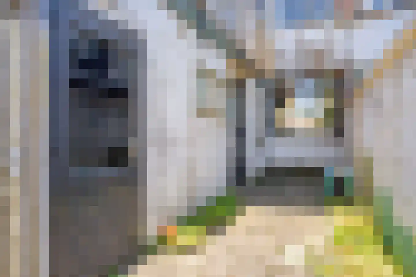 Leliestraat 27 Alphen aan den Rijn thumbnail 25