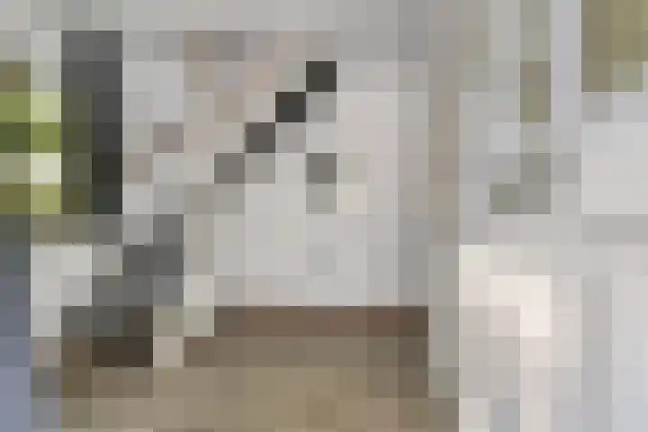 Leliestraat 27 Didam thumbnail 10