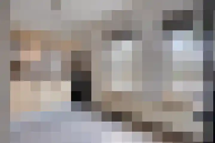 Leliestraat 27 Didam thumbnail 15