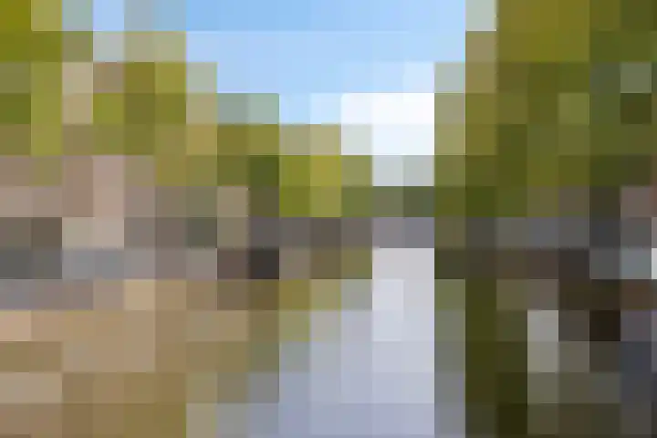 Leliestraat 27 Didam thumbnail 20