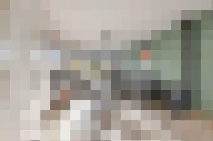 Leliestraat 27 Didam foto 3