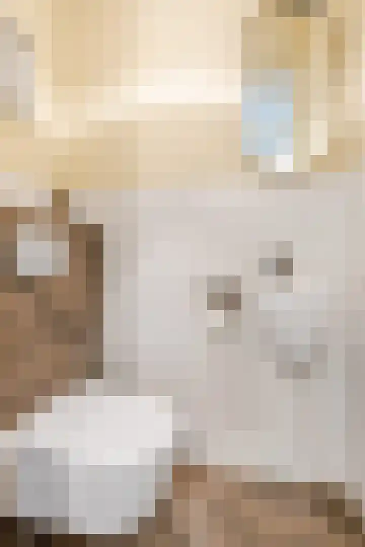Leliestraat 27 Didam thumbnail 4