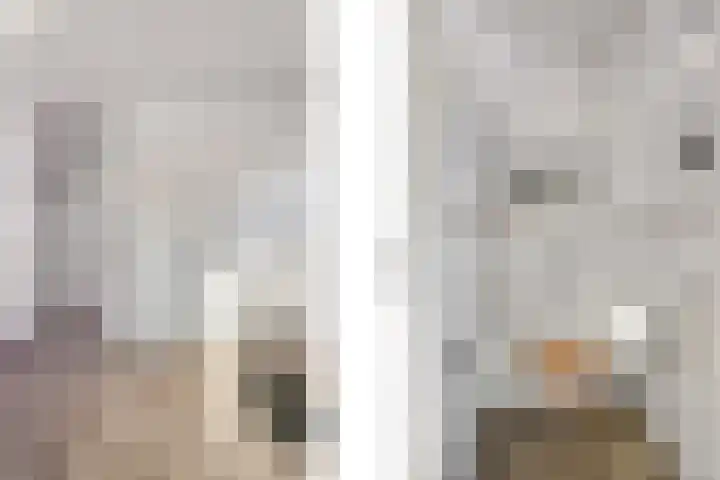 Leliestraat 27 Didam thumbnail 7