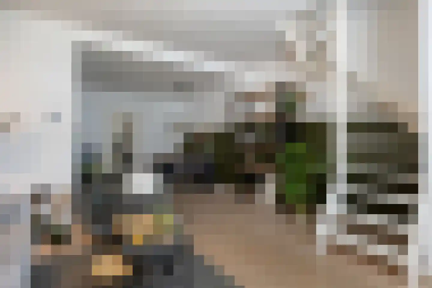 Leliestraat 27 Schiedam thumbnail 4