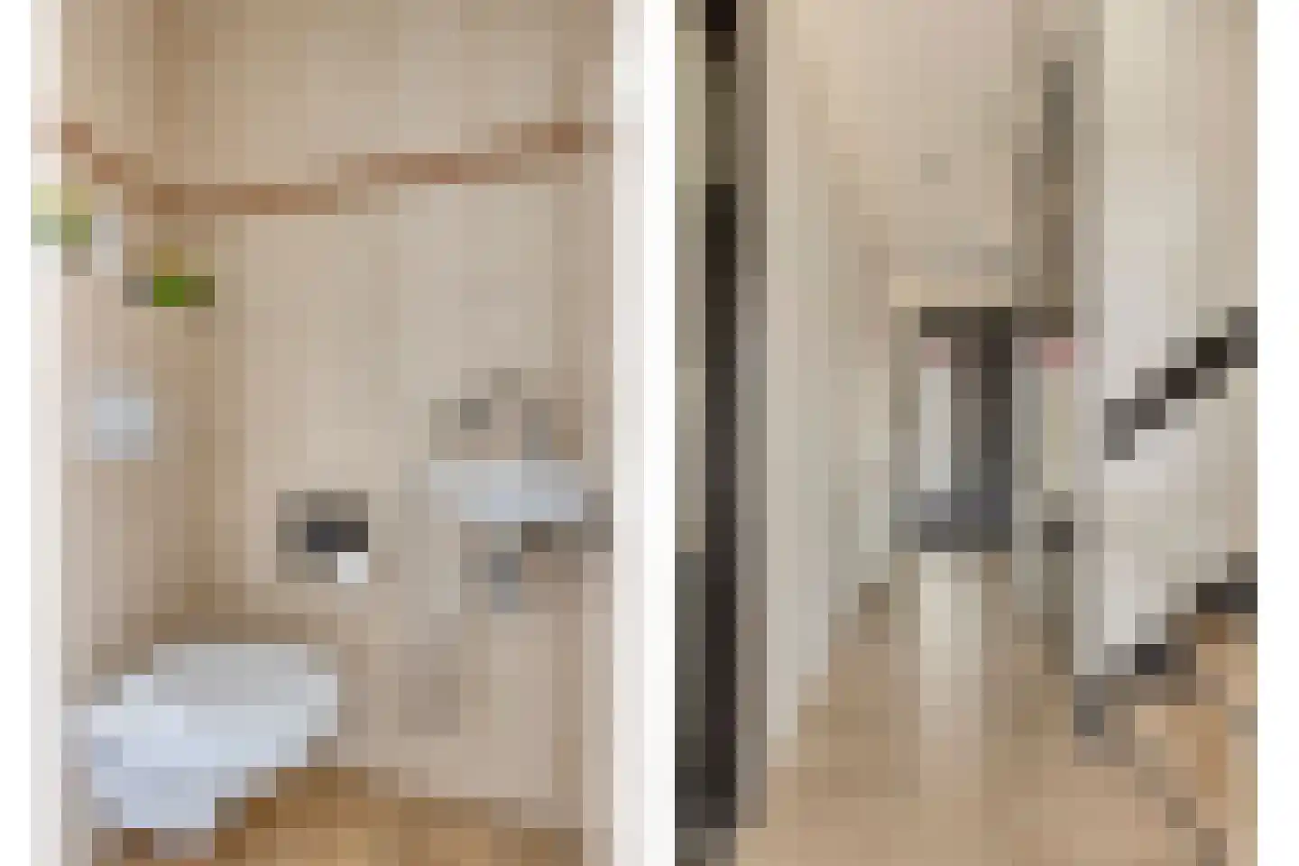 Leliestraat 28 Beek en Donk thumbnail 10
