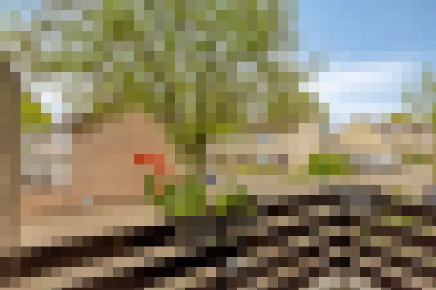 Leliestraat 28 Beek en Donk thumbnail 29