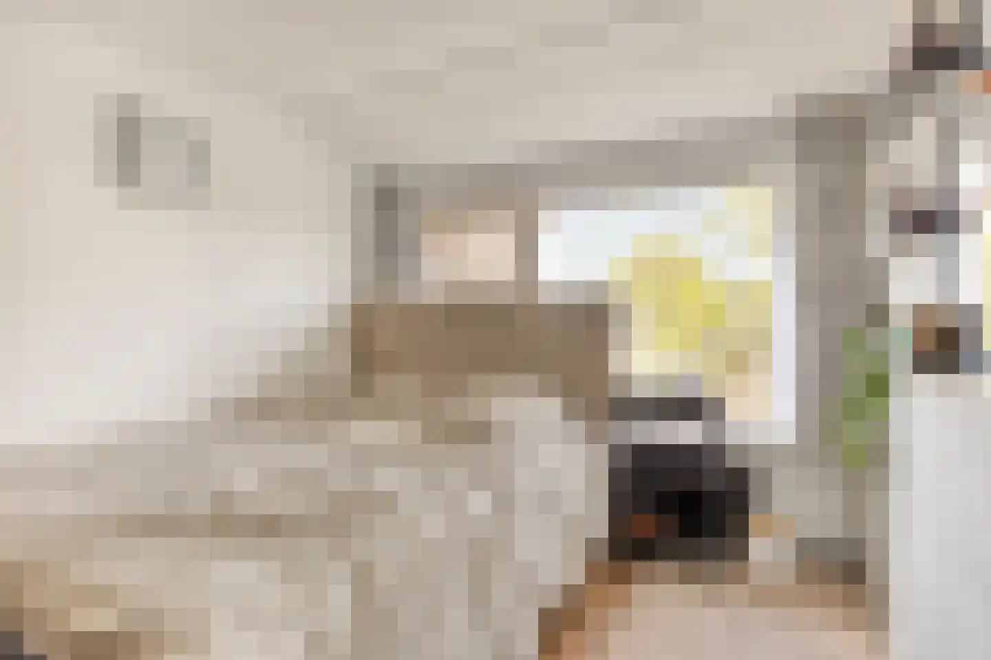 Leliestraat 28 Beek en Donk thumbnail 31