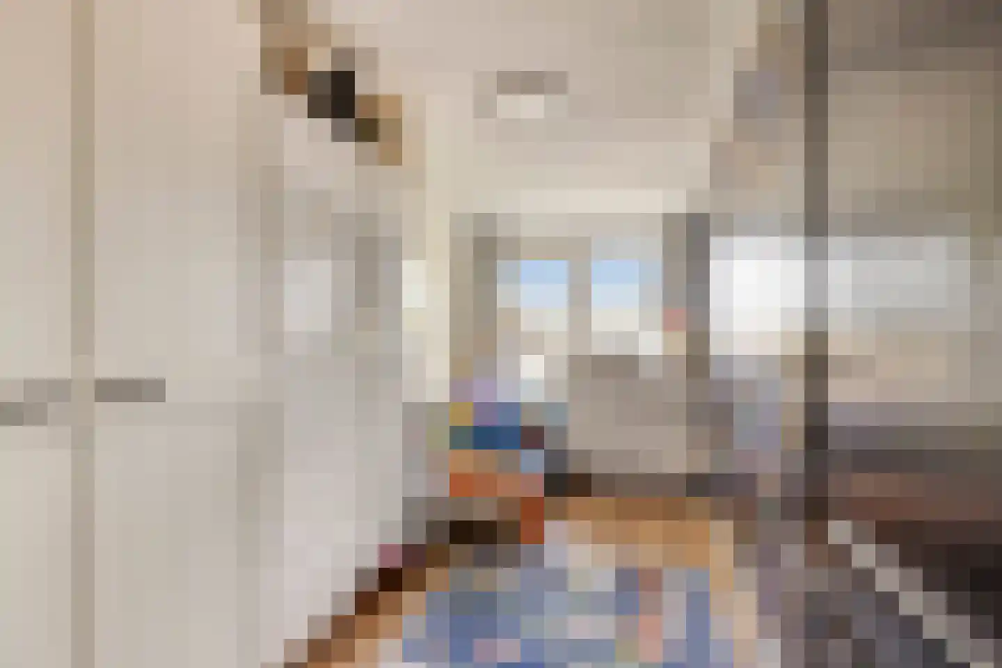 Leliestraat 28 Beek en Donk thumbnail 37