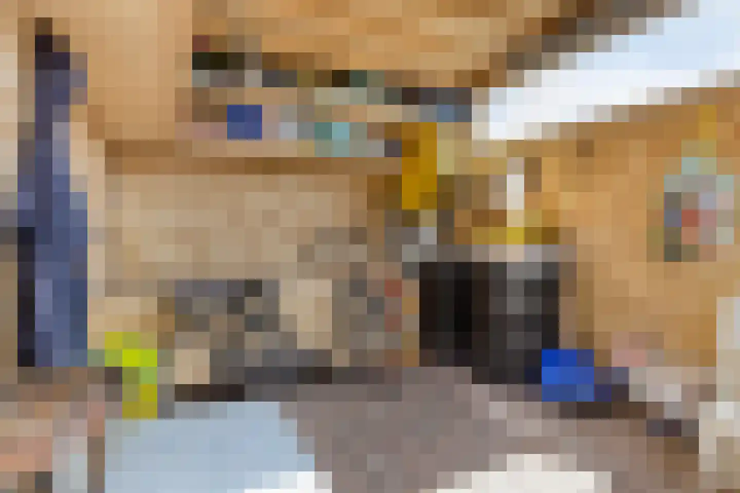 Leliestraat 28 Beek en Donk thumbnail 40