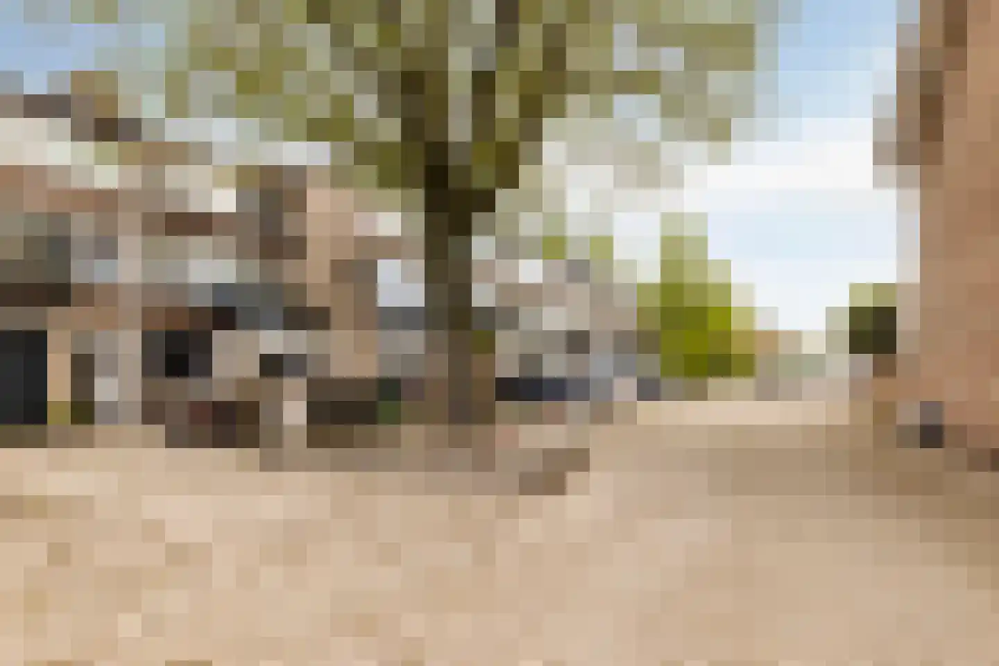 Leliestraat 28 Beek en Donk thumbnail 9