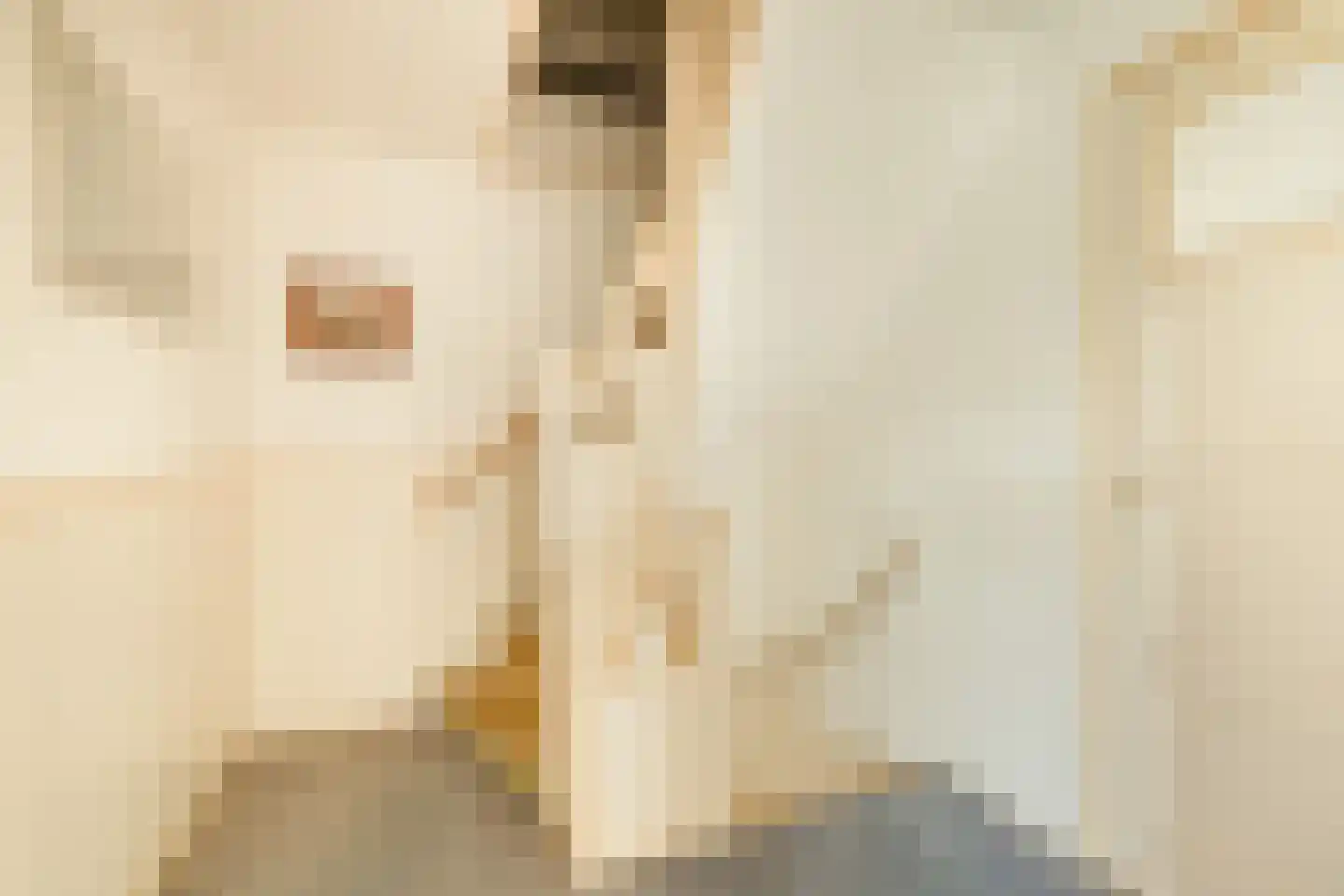 Leliestraat 28 Beverwijk thumbnail 19