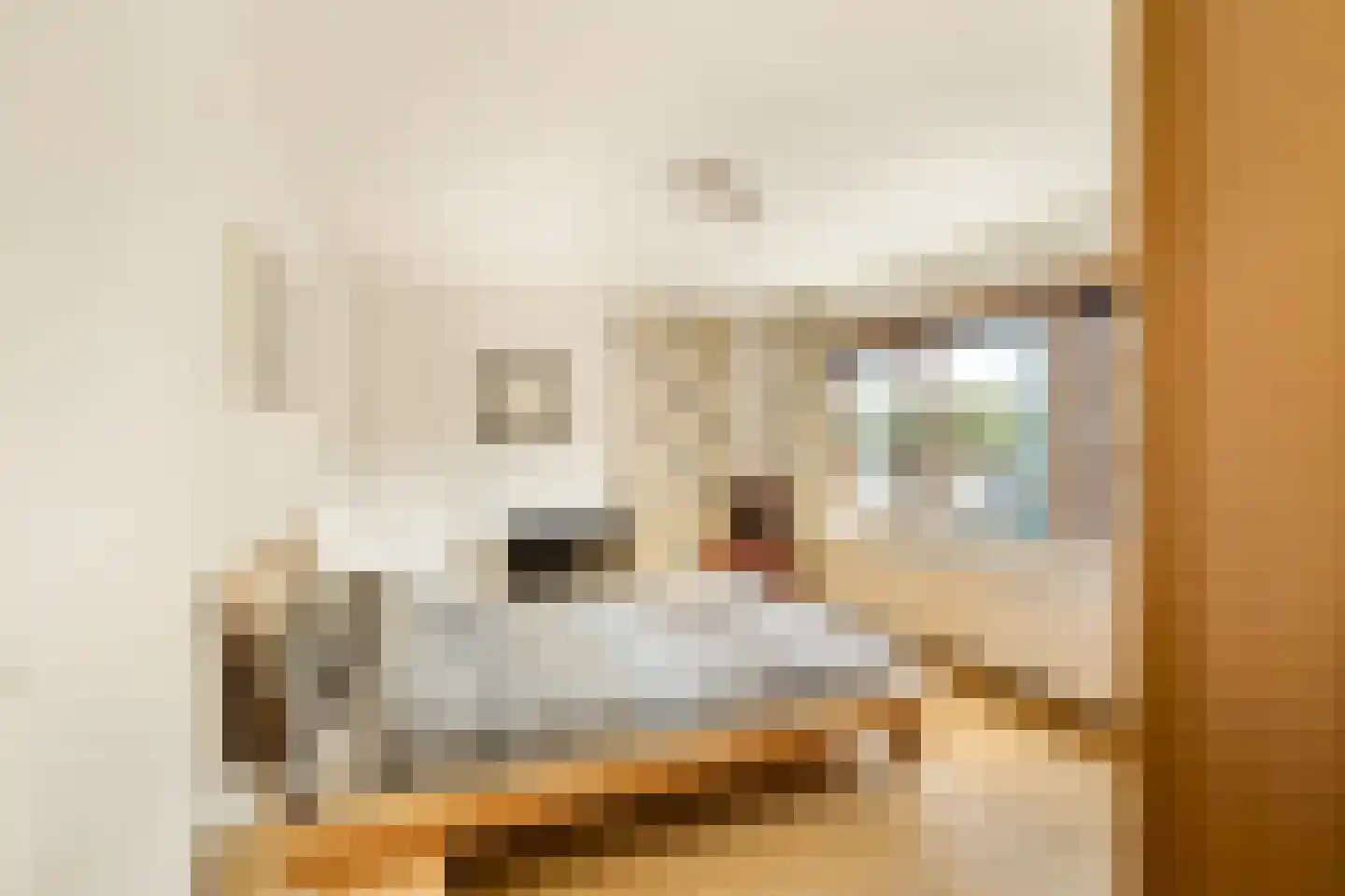 Leliestraat 28 Beverwijk thumbnail 21