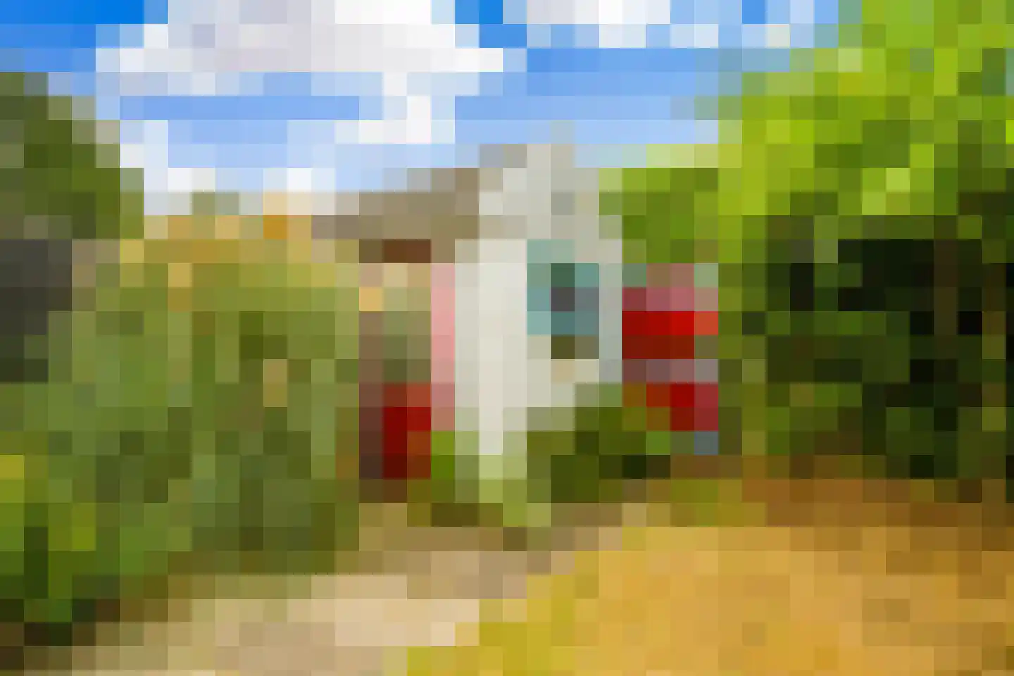 Leliestraat 28 Beverwijk thumbnail 29