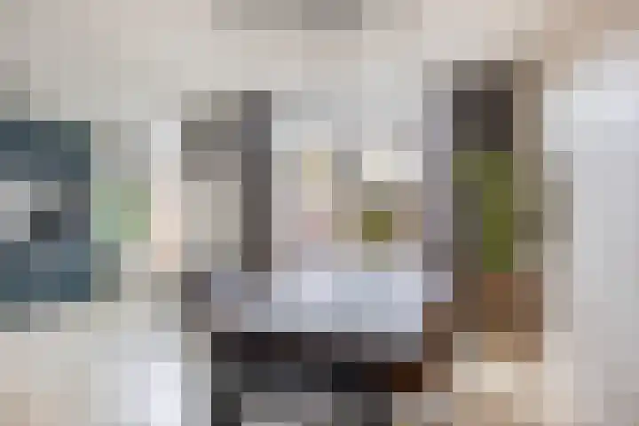 Leliestraat 28 Zevenhuizen thumbnail 10