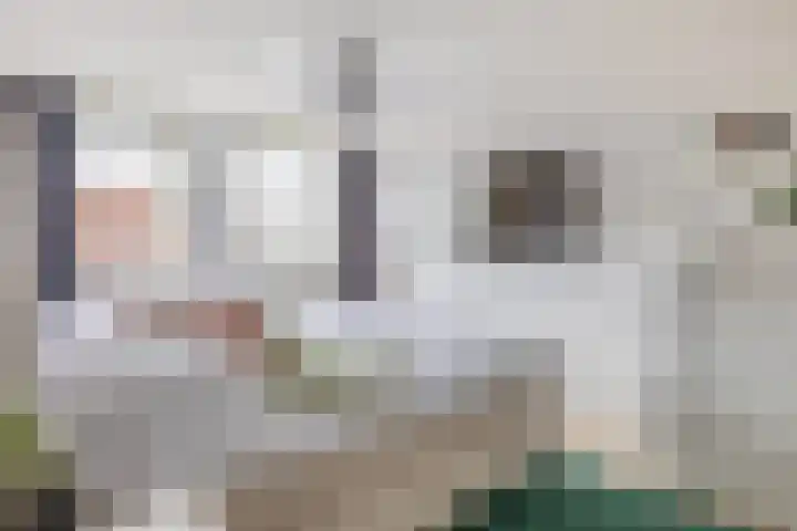 Leliestraat 28 Zevenhuizen thumbnail 15