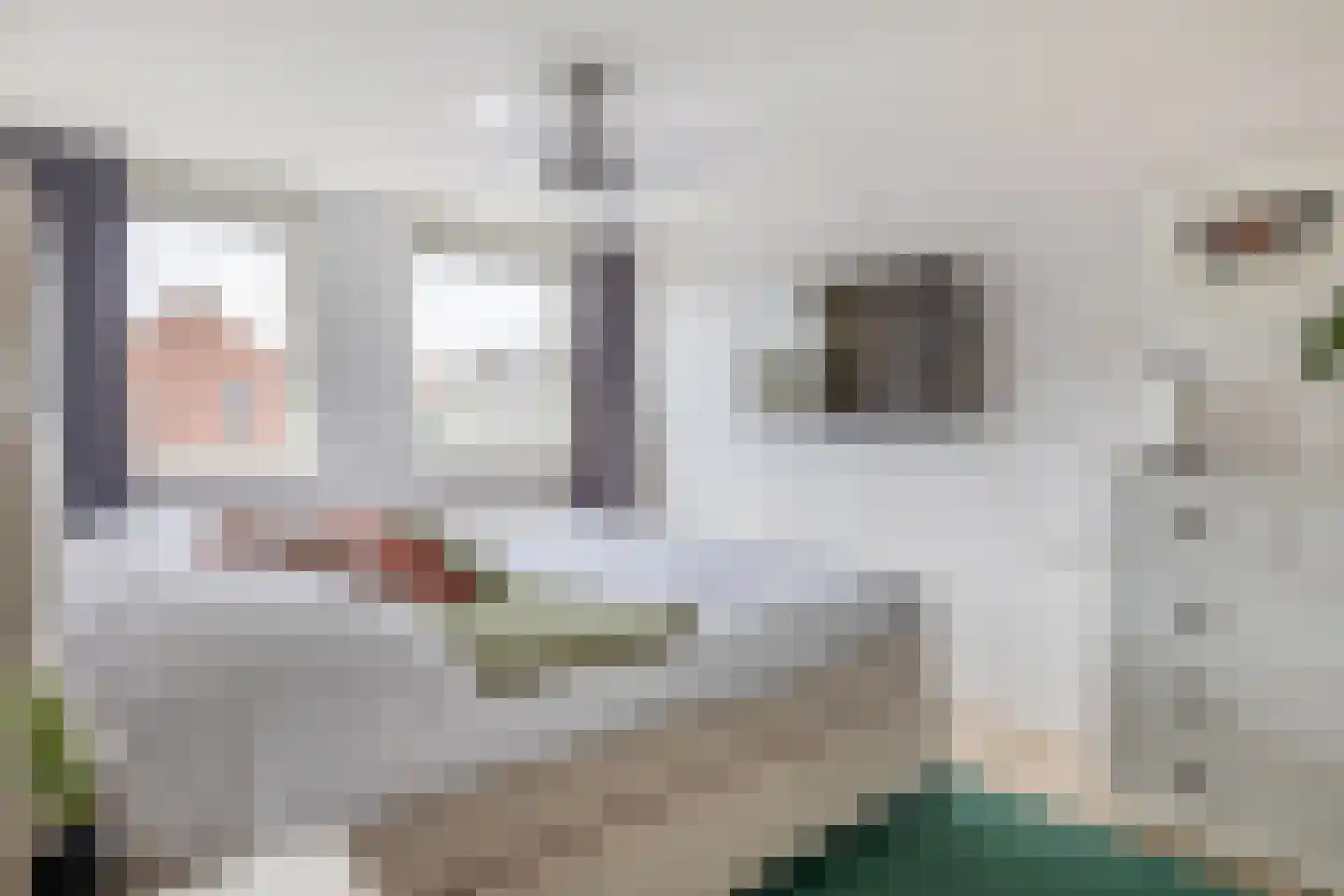 Leliestraat 28 Zevenhuizen thumbnail 15