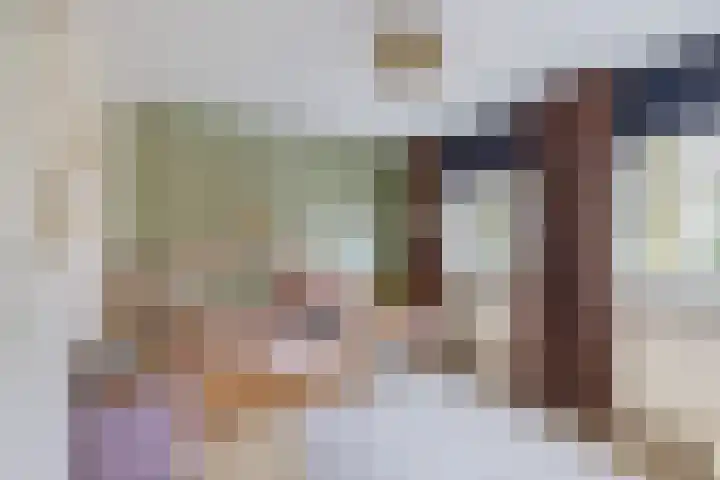 Leliestraat 28 Zevenhuizen thumbnail 20