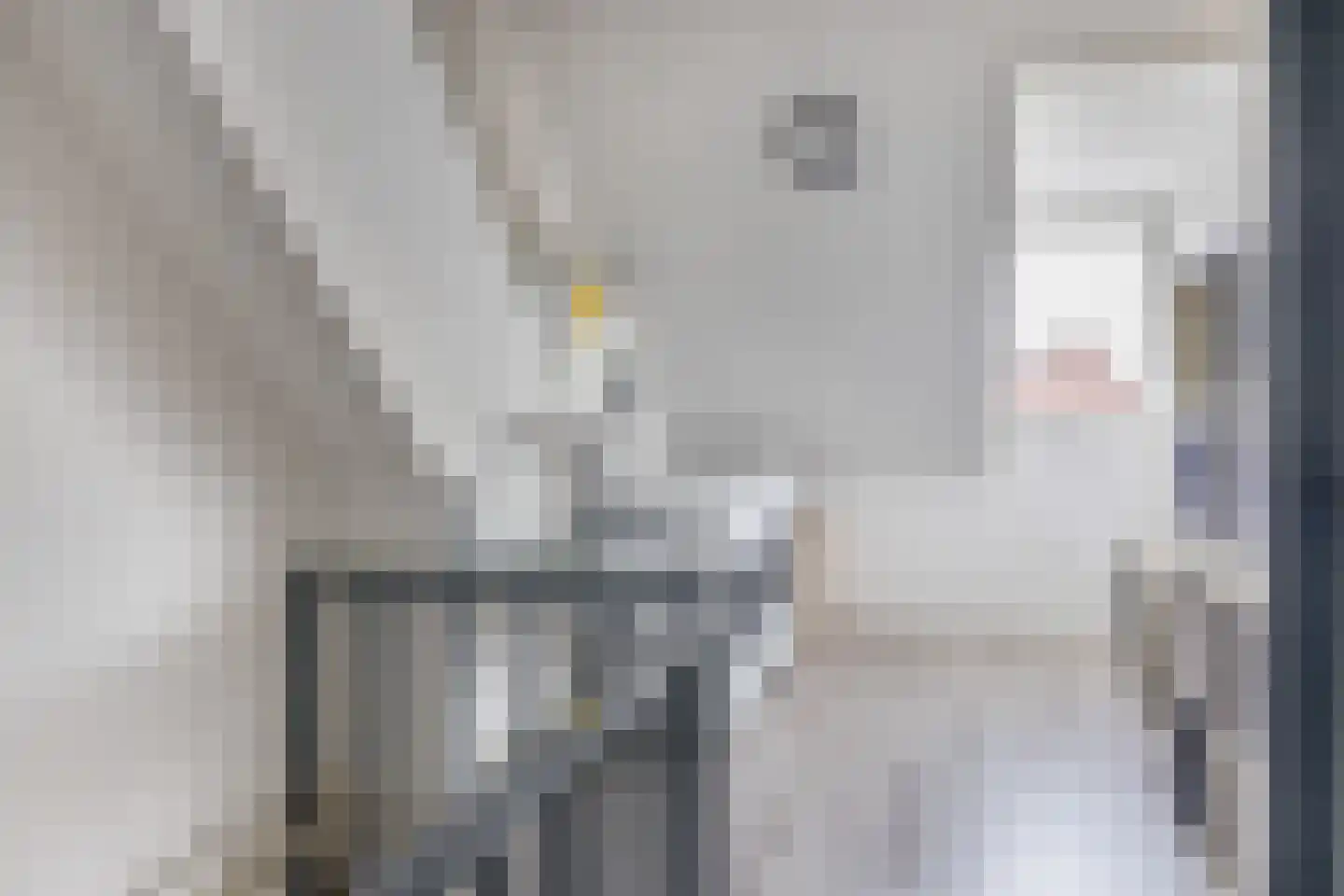 Leliestraat 28 Zevenhuizen thumbnail 22