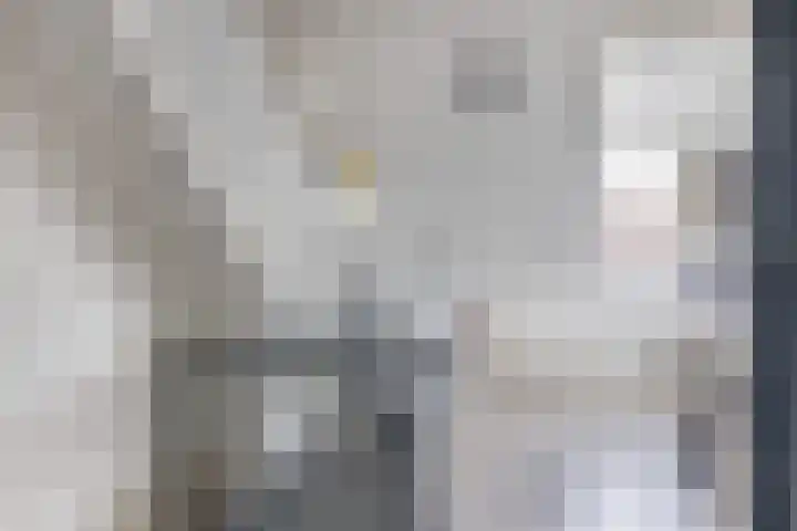 Leliestraat 28 Zevenhuizen thumbnail 23