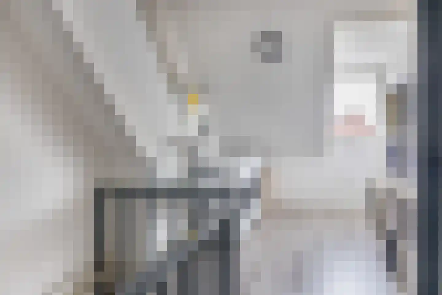 Leliestraat 28 Zevenhuizen thumbnail 26