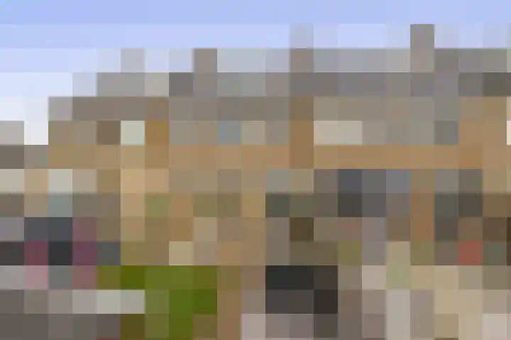 Leliestraat 28 Zevenhuizen thumbnail 26