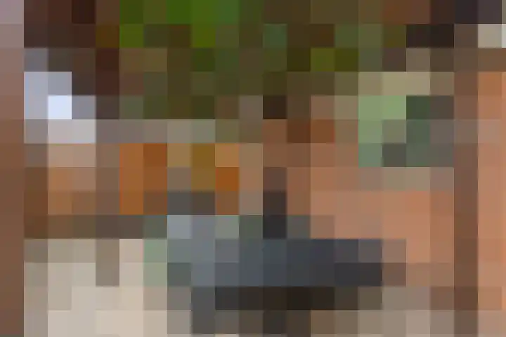 Leliestraat 28 Zevenhuizen thumbnail 30